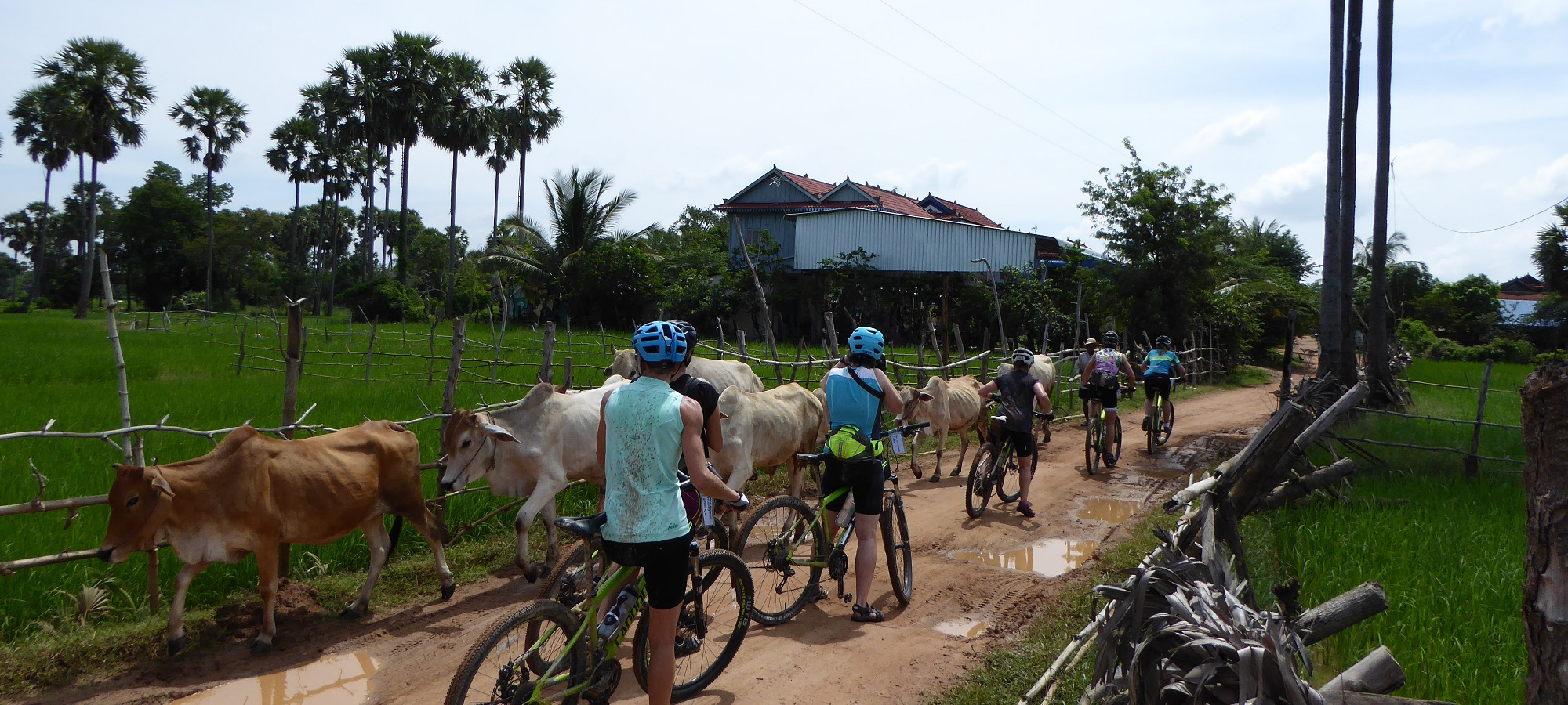 Photos from our Cambodia Cycling Holiday